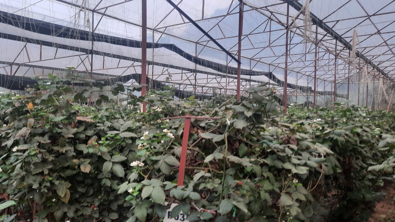 Product Info Image 10